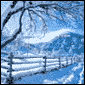 SnowDrift